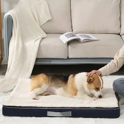 Scf09374afd9246fea27f2654c62336b8M