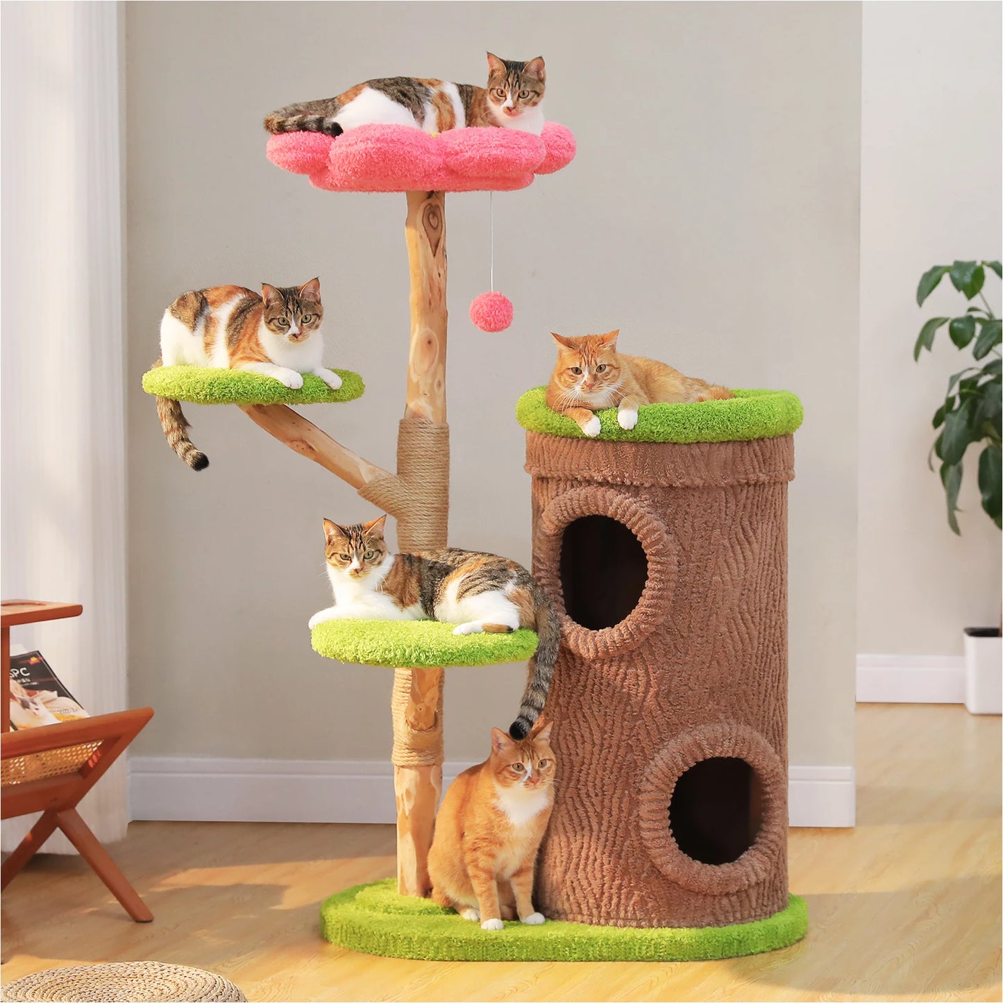 Sd09ee307be01446a9e1c122a9c268133o