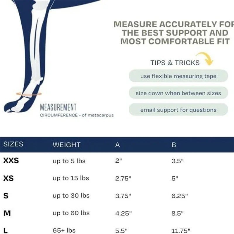 Sfae969ea42614279b8f857ecc91227acC