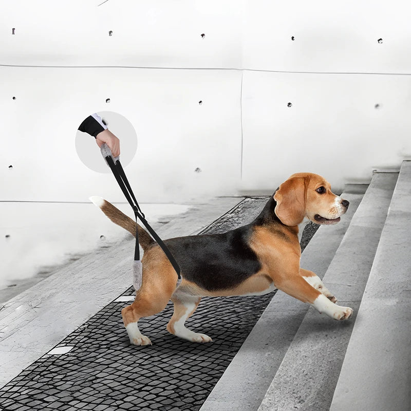 Sfdd0f11347fe48db92099eb4637c53b3y