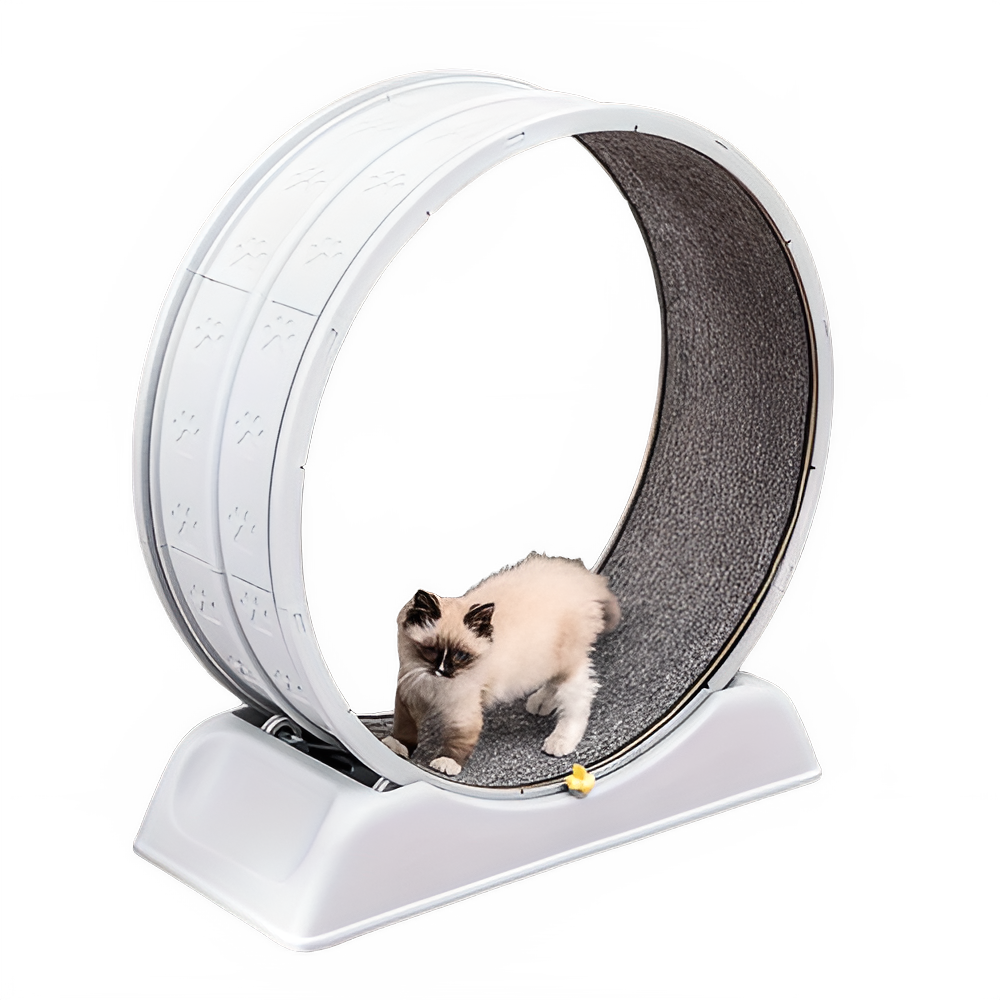 dfd68c7a-933f-40ae-8985-a08c9efc2f0a