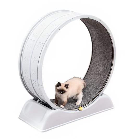 dfd68c7a-933f-40ae-8985-a08c9efc2f0a